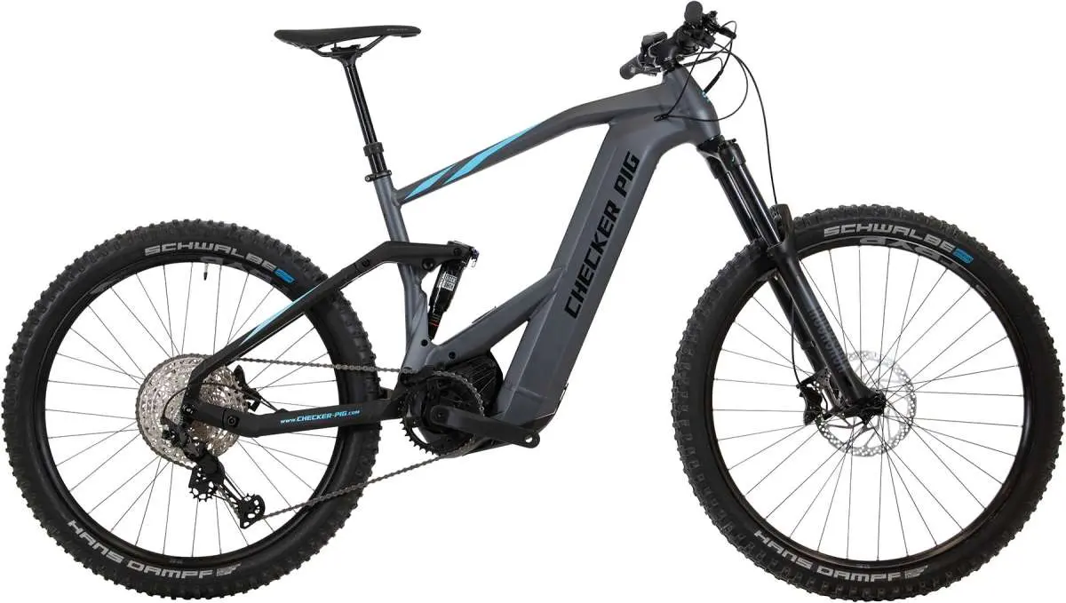 Checker Pig Actice Pig Pro 29 Fully 12-Gang 750Wh anthrazit E-MTB - Bild 1